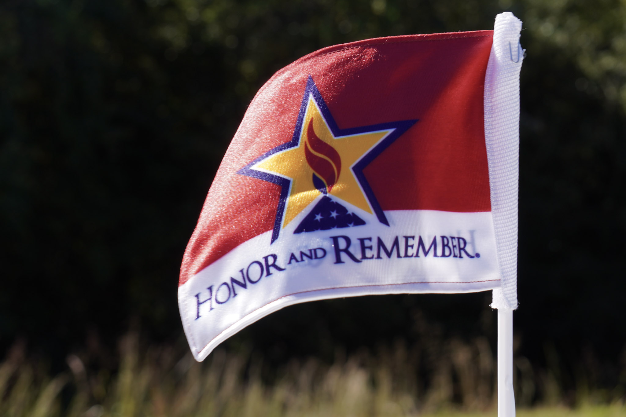 391733194_688982536595405_2121339690340472720_n